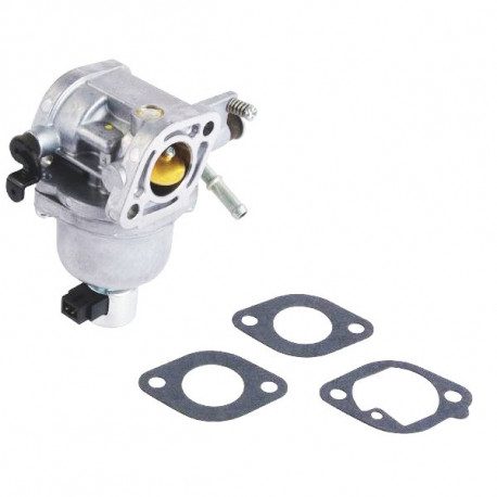 Carburateur (à starter) Briggs Stratton Intek Edge 55 OHV, 60 OHV, 825 Series I/C Carburateur (à starter) Briggs Stratton Intek Edge 55 OHV, 60 OHV, 825 Series I/C