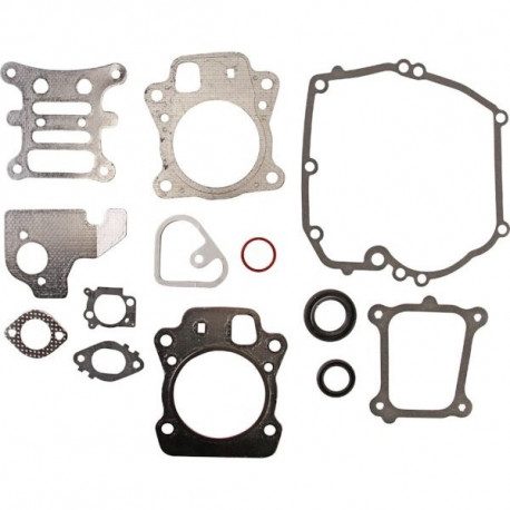 Pochette joint moteur Briggs Stratton 850E Series, 875EX Series, 950E Series Pochette joint moteur Briggs Stratton 850E Series, 875EX Series, 950E Series