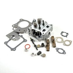 Culasse moteur Briggs Stratton 850E Series
