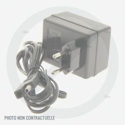 Chargeur de batterie Greatland Rider 196T 65-61EL Chargeur de batterie Greatland Rider 196T 65-61EL