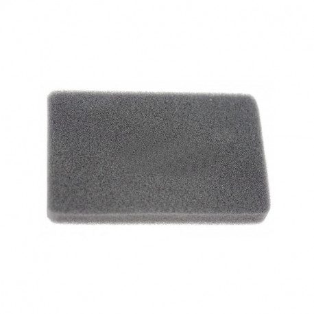 Filtre à air pour moteur Greatland TZ1P56F Filtre à air pour moteur Greatland TZ1P56F