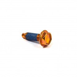 Vis Briggs and Stratton 692523 Vis Briggs and Stratton 692523