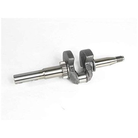 Vilebrequin Briggs Stratton Intek 55 OHV, Intek Edge 55 OHV, Intek EL 55