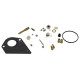 Kit carburateur Briggs Stratton 499233
