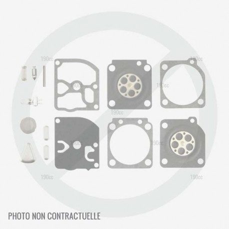 Kit carburateur pour moteur MTD 2P70MHD Kit carburateur pour moteur MTD 2P70MHD