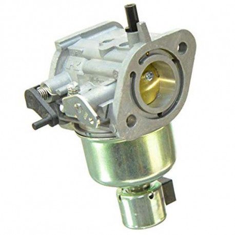 Carburateur pour moteur Kawasaki FR541V