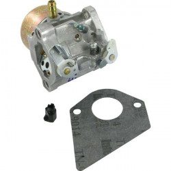 Carburateur Briggs Stratton 698171