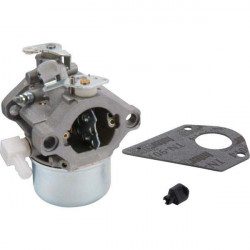 Carburateur Briggs Stratton 499158 pour moteur 289707