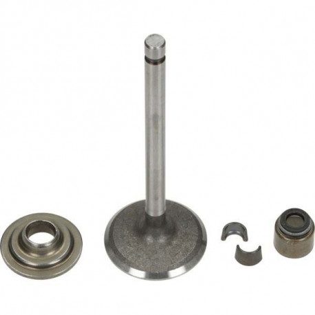 Soupape Briggs and Stratton 792200 pour moteur de tracteur tondeuse Soupape Briggs and Stratton 792200 pour moteur de tracteur tondeuse