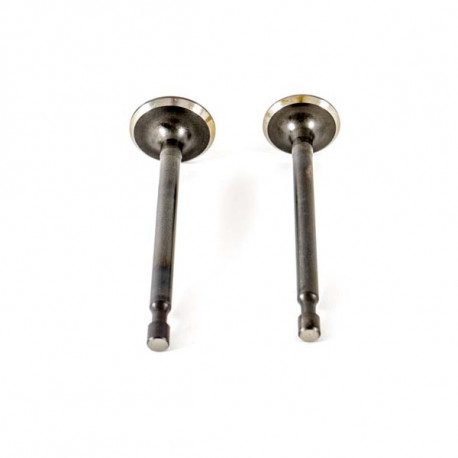 Kit soupape pour tondeuse Cub Cadet CC 53 à moteur 5P71MHA Kit soupape pour tondeuse Cub Cadet CC 53 à moteur 5P71MHA