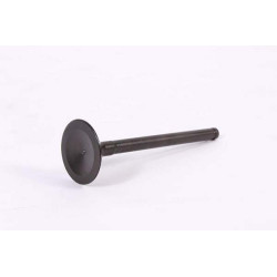 Soupape echappement pour autoportée Cub Cadet à moteur Kawasaki FR600V