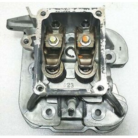 Culasse Briggs Stratton pour moteur bi cylindre (cylindre 1) Culasse Briggs Stratton pour moteur bi cylindre (cylindre 1)