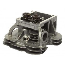 Culasse Briggs Stratton 799088