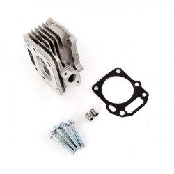 Culasse pour moteur MTD 1T65RHB, 5T65RH, 5T65RHA
