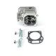 Culasse pour moteur MTD 1X65, 5X65, 6X65
