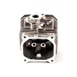 Culasse pour moteur MTD 6X65RHA