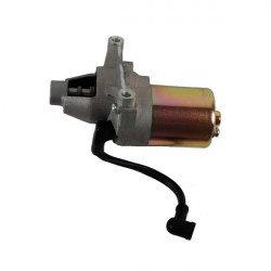 Démarreur pour tondeuse MTD à démarrage électrique Démarreur pour tondeuse MTD à démarrage électrique