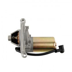 Démarreur pour tondeuse Cub Cadet CC 48 SPOE Démarreur pour tondeuse Cub Cadet CC 48 SPOE