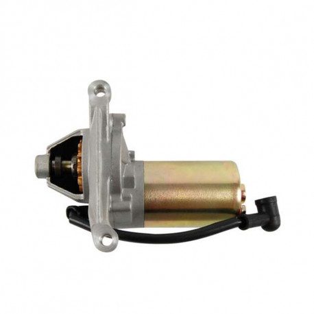 Démarreur pour tondeuse Cub Cadet CC 48 SPOE Démarreur pour tondeuse Cub Cadet CC 48 SPOE