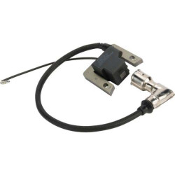 Bobine moteur MTD 1P70 et 5P70