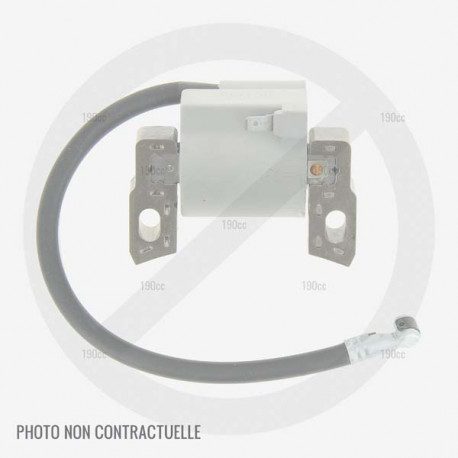 Bobine d'allumage pour moteur de tondeuse Subaru EA190V Bobine d'allumage pour moteur de tondeuse Subaru EA190V