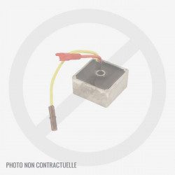 Regulateur moteur MTD 2P70MHB et 2P70MHD Regulateur moteur MTD 2P70MHB et 2P70MHD