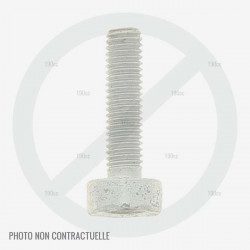 Vis de pot d'echappement pour moteur Kohler XT800 et XT675