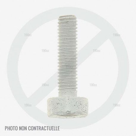Vis d'echappement MTD pour moteur de tondeuse Vis d'echappement MTD pour moteur de tondeuse
