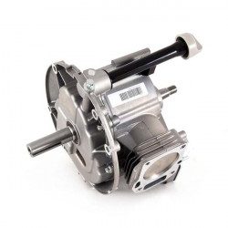 Short bloc pour moteur Cub Cadet 5T65RH