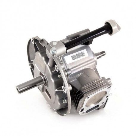 Short bloc pour moteur Cub Cadet 5T65RH Short bloc pour moteur Cub Cadet 5T65RH