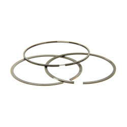 Segment Briggs Stratton 696403 Segment Briggs Stratton 696403
