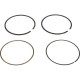 Kit segments Briggs et Stratton 791787