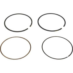 Kit segments Briggs et Stratton 791787