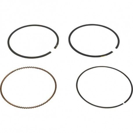 Kit segments Briggs et Stratton 791787