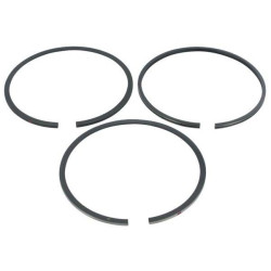 Segment Briggs Stratton 499631