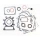 Pochette de joints Briggs Stratton 691580