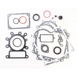 Pochette de joints Briggs Stratton 691580