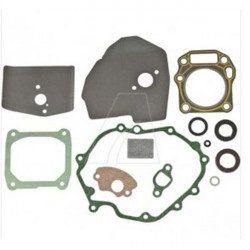 Pochette de joint moteur MTD 751-10884 pour moteur 1P61