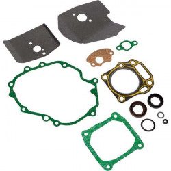 Jeu de joints MTD 751-10422 pour moteur 1P61F