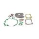 Kit joint 751-10317 pour moteur MTD 1P65FH