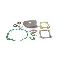 Kit joint 751-10317 pour moteur MTD 1P65FH