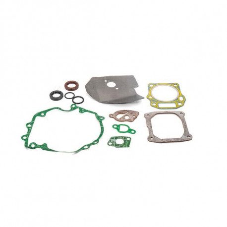 Kit joint 751-10317 pour moteur MTD 1P65FH Kit joint 751-10317 pour moteur MTD 1P65FH