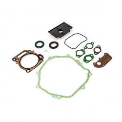 Pochette de joints MTD 751-12204 moteur 4P90