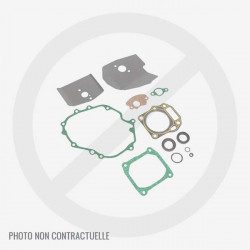 Jeu de joints Cub Cadet / MTD 751-14443