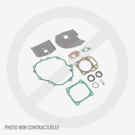 Jeu de joints Cub Cadet / MTD 751-14443 Jeu de joints Cub Cadet / MTD 751-14443