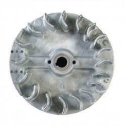 Volant moteur GGP 118550718/0 Volant moteur GGP 118550718/0