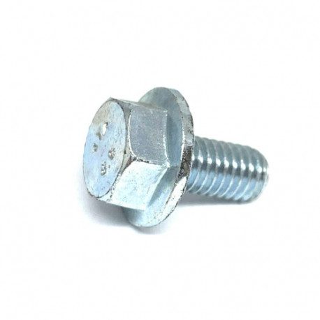 Vis cache culbuteur GGP 112735699/0 Vis cache culbuteur GGP 112735699/0