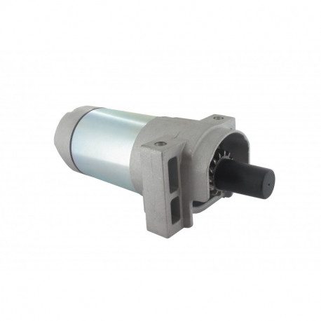 Démarreur Compatible Moteur GGP 7750 452cc - Référence 118550526/0 - 10 Dents, Fixation 2 Points