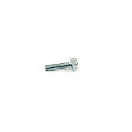 Vis MTD 710-04919 pour carter moteur Vis MTD 710-04919 pour carter moteur