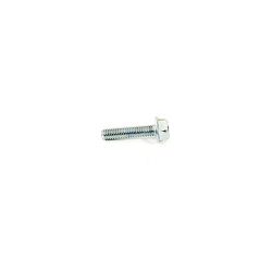 Vis MTD 710-04920 pour bobine d'allumage